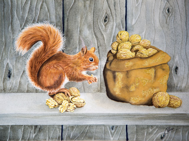 Galerie Tiere: Eichhörnchen auf Futtersuche, Aquarell 40/30cm, 2021