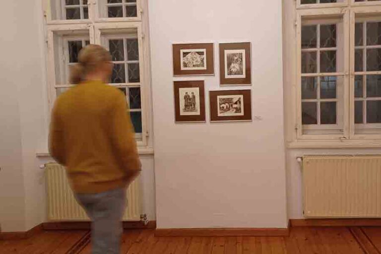 Ausstellungen